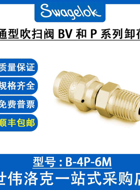 B-4P-6M 世伟洛克Swagelok 黄铜吹扫阀 3/8 in. MNPT