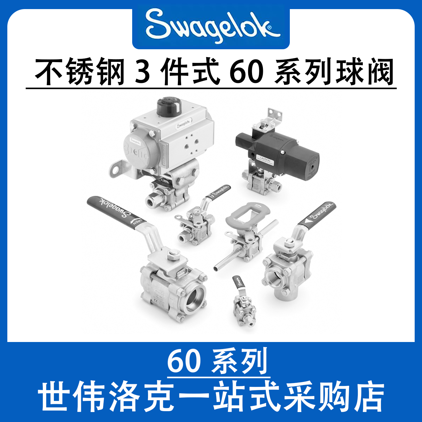 Swagelok世伟洛克 不锈钢三件式球阀 60系列管道工业流体控制阀门 - 实物图