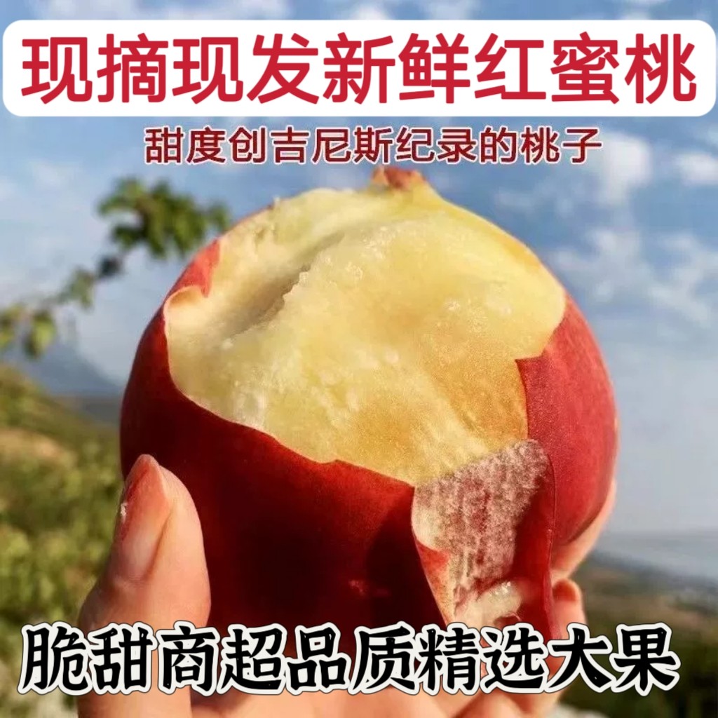 秋雪水蜜桃金秋红蜜桃5斤桃子秋桃冬桃雪桃新鲜现摘 精品一级脆甜