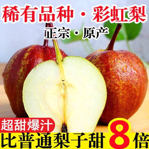 大果新鲜彩虹梨红宝石梨七彩梨香梨子大荔水果酥梨脆红薄皮爆甜5J