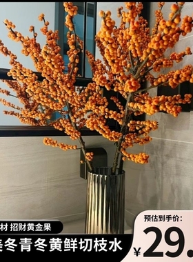 北美冬青橙色果子黄金万两办公室爱马仕橙色年宵花送礼支持一件发