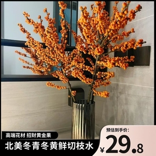 北美冬青橙色果子黄金万两办公室爱马仕橙色年宵花送礼支持一件发