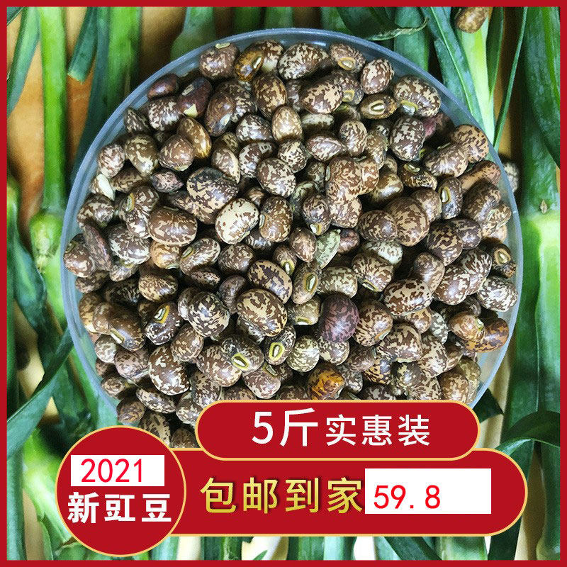 花豇豆东北农家麻豇豆江豆姜豆小饭豆软糯易煮花豆五谷杂粮豆5斤