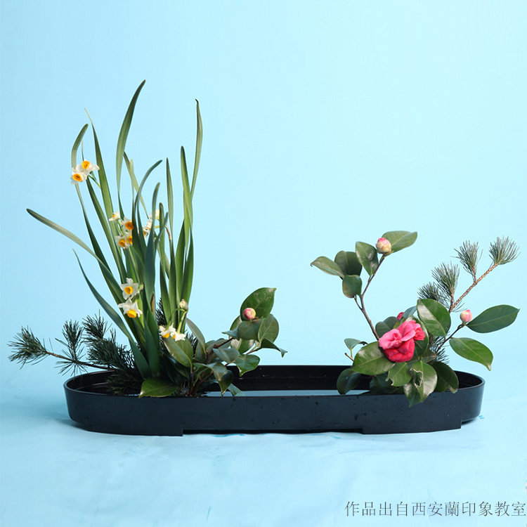 水盘花盆插花塑胶花器长款椭圆塑料剑山写景中华花艺培训小原流