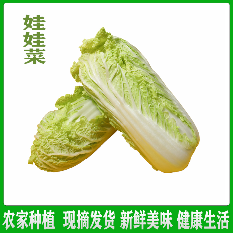 新鲜北京中国大陆绿色蔬菜蔬菜