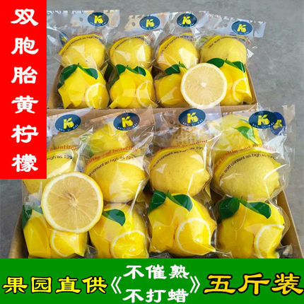 安岳尤力克黄柠檬.新鲜果园直发.双胞胎5斤装皮薄多汁包邮
