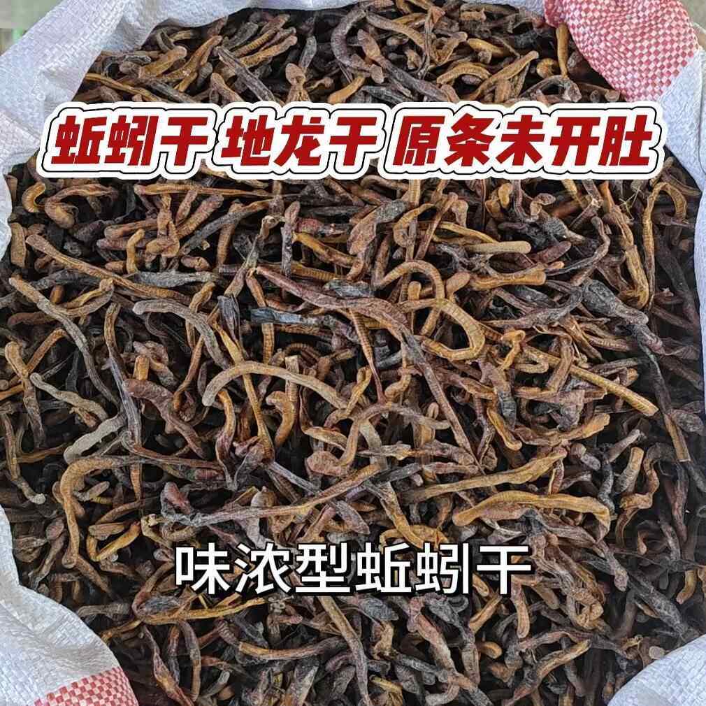 蚯蚓干 地龙干曲蟮 净重黑蚯蚓干臭蚯蚓青蚯蚓鱼饵 饵料 黄鳝诱饵
