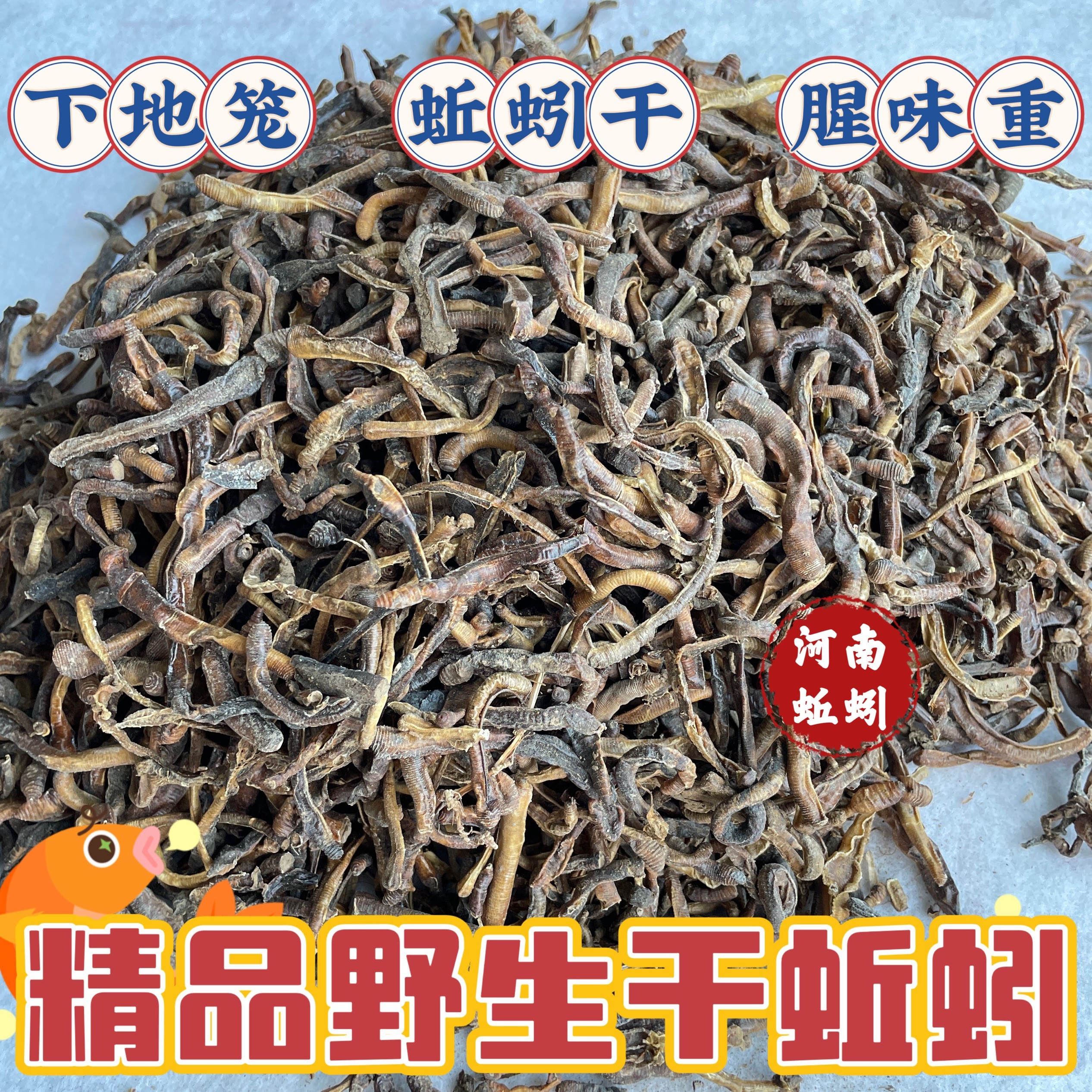 黑蚯蚓干青地龙鱼饵黄鳝