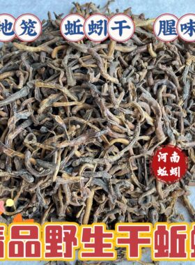 黑蚯蚓干青地龙鱼饵黄鳝