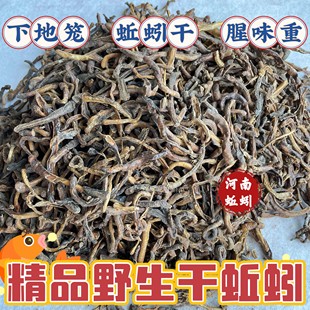 黑蚯蚓干青蚯蚓干地龙干蚯蚓鱼饵黄鳝饵户外钓鱼隔夜窝干货