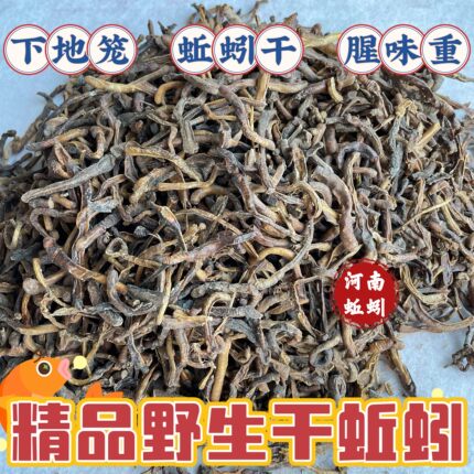 黑蚯蚓干青蚯蚓干地龙干蚯蚓鱼饵黄鳝饵户外钓鱼隔夜窝干货