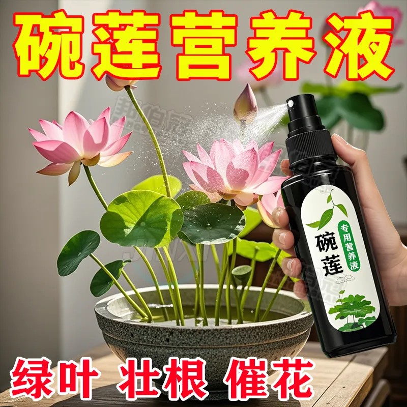 碗莲专用营养液睡莲肥料通用水溶肥水培种子发芽生根促开花防黄叶
