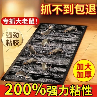 老鼠贴超强力粘鼠板魔毯抓大老鼠夹扑捉灭鼠捕鼠神器防鼠隐形仓库