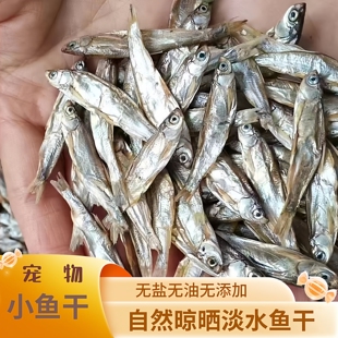 农家自制淡水无盐无油宠物增肥发腮零食猫咪小鱼干乌龟粮食小鱼干