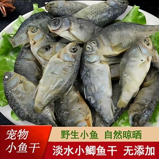 宠物零食小鱼干淡水农家新鲜小鲫鱼干猫咪零食猫吃鱼干小乌龟粮食