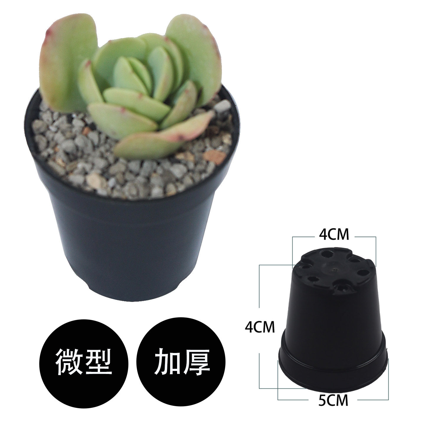 加厚迷你多肉植物塑料圆形花盆拇指花盆微型叶插育苗小口径小圆盆