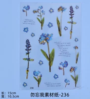 № 236 Не забывай меня