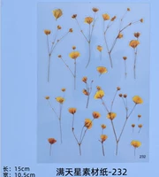 232 1 Полный звездный материал