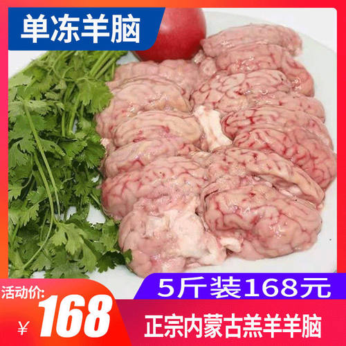 【5斤装】内蒙古碳烤羊脑火锅食材单冻羊脑髓草原散养清真羊脑花