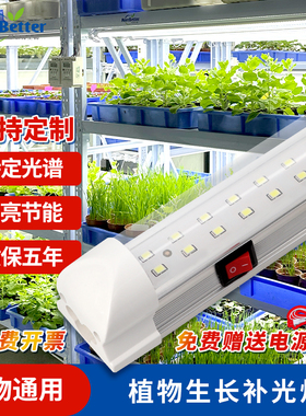 茉钡特 T8LED植物生长补光组培灯快速生长上色防徒全光谱绿植育苗