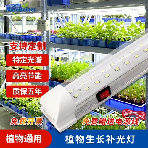 植物落地生长补光灯组培灯T8高亮