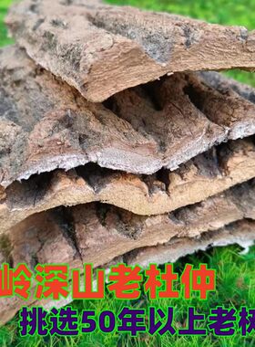 秦岭野生老杜仲皮500g