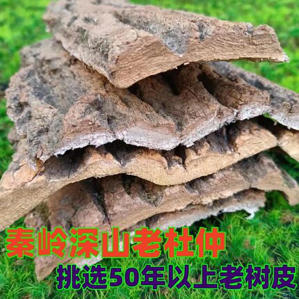 秦岭深山老杜仲皮挑选老丝绵树厚皮片可煲汤泡酒杜仲茶中药材500g