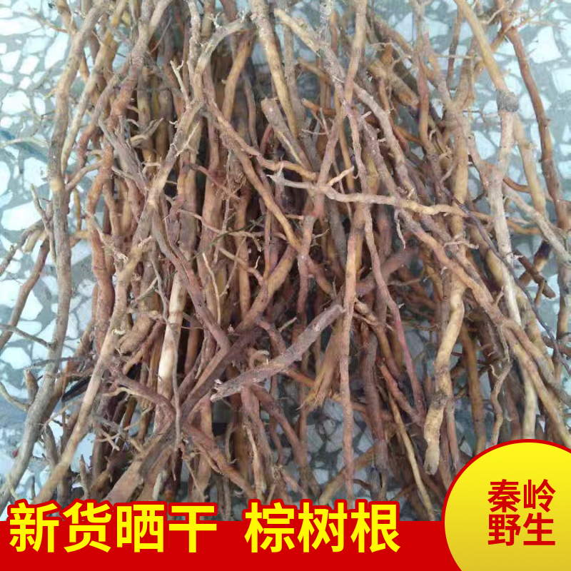 秦岭野生新鲜干货棕榈根