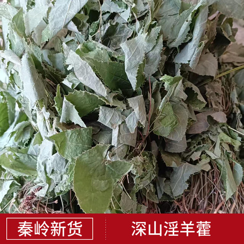 淫羊藿深山男性滋补仙灵脾中药材