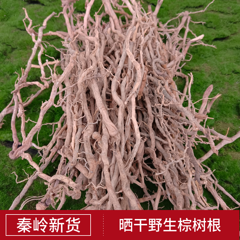 秦岭野生新货晒干棕树根根