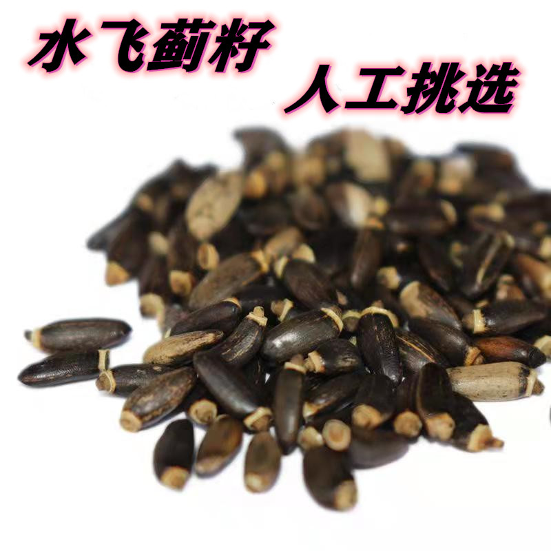 秦岭水飞蓟籽 水飞蓟中药材 水飞蓟 飞蓟 水飞蓟500克包邮