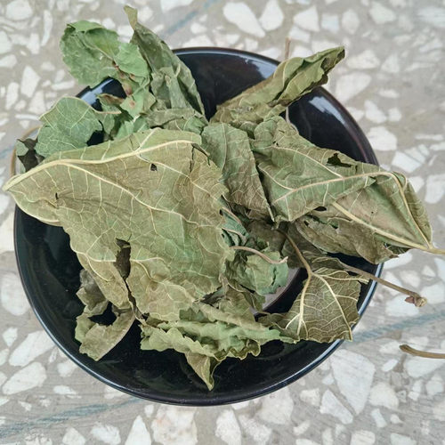 秦岭桑叶中药材新货干桑叶500克包邮新鲜晒干桑树叶泡水桑叶茶