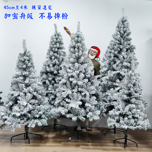 仿真加密白色圣诞树植绒树雪树雪松喷雪冰雕装饰加密大型落地雪树