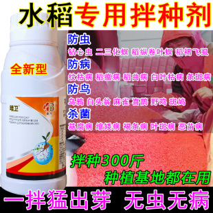 水稻拌种剂专用药水稻拌种包衣剂水稻种子防虫杀菌抗病拌种剂正品