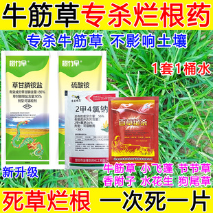 牛筋草专用除草剂牛筋草锄草剂强效烂根药顽固牛筋草灭草药正品