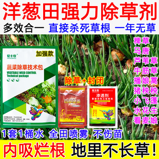 洋葱除草剂洋葱田苗后除草专用药强效死根烂根封闭不伤苗禾阔双除
