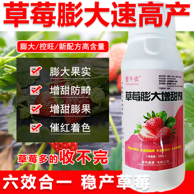 草莓增甜剂草莓叶面肥草莓膨大剂增甜高产草莓专用肥保花保果