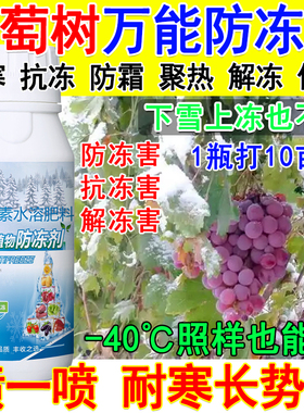 葡萄树专用防冻剂葡萄树防冻液抗寒耐低温促长增产防病植物防冻剂