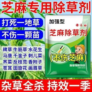芝麻苗后除草剂芝麻专用除草剂禾阔双除狗尾草马塘刺儿菜稗草荠菜