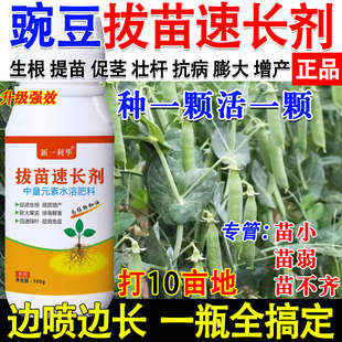 豌豆提苗爆长剂豌豆强效营养液豌豆专用快速生根壮苗增产农用肥料