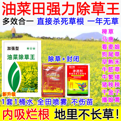 油菜田专用除草剂油菜苗后除草封闭式禾阔双除油菜田强效除草死根