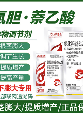 21%氯化胆碱膨大专用姜花生山药红薯洋葱土豆地下作物根茎膨大素
