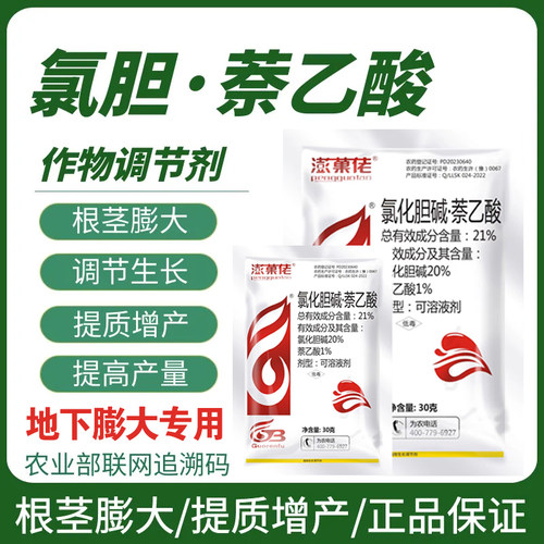 21%氯化胆碱膨大专用姜花生山药红薯洋葱土豆地下作物根茎膨大素