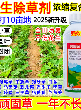 花生专用除草剂花生苗后除草剂花生封闭式除草药强效安全不伤苗Y
