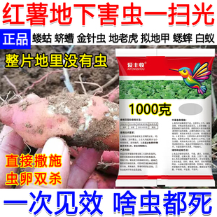 红薯地下害虫专用药噻虫胺杀虫剂专杀地下害虫地老虎蛴螬蝼蛄正品