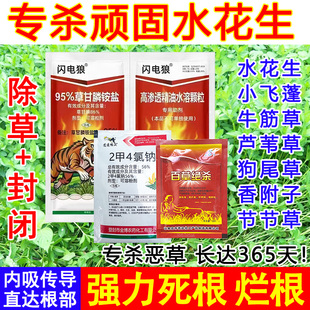 打水花生药水花生锄草剂高浓度强效水花生专用药封闭式死根不返青