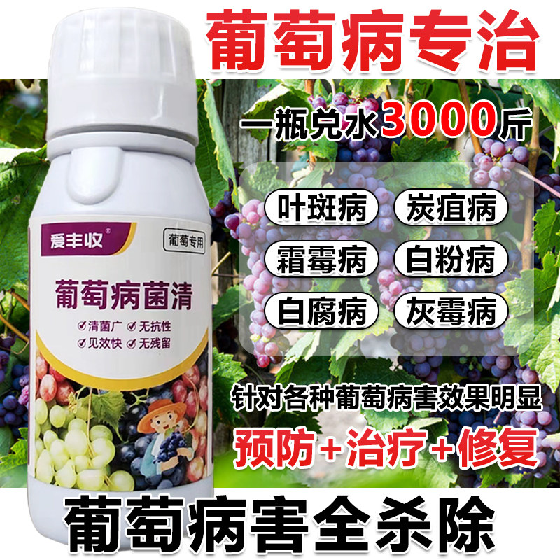 葡萄杀菌剂葡萄病全治叶斑病葡萄微生物菌肥炭疽预防治疗速效