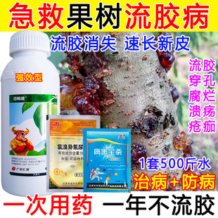 果树流胶病杀菌剂果树流胶病专用药果树腐烂穿孔流胶一喷净正品