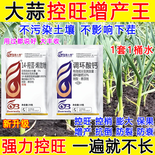 大蒜控旺增产专用药大蒜矮壮素膨大控旺调节剂保花保果正品烯效唑