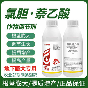氯化胆碱萘乙酸地下根茎膨大剂葱蒜薹姜地下根块膨大增产调节剂
